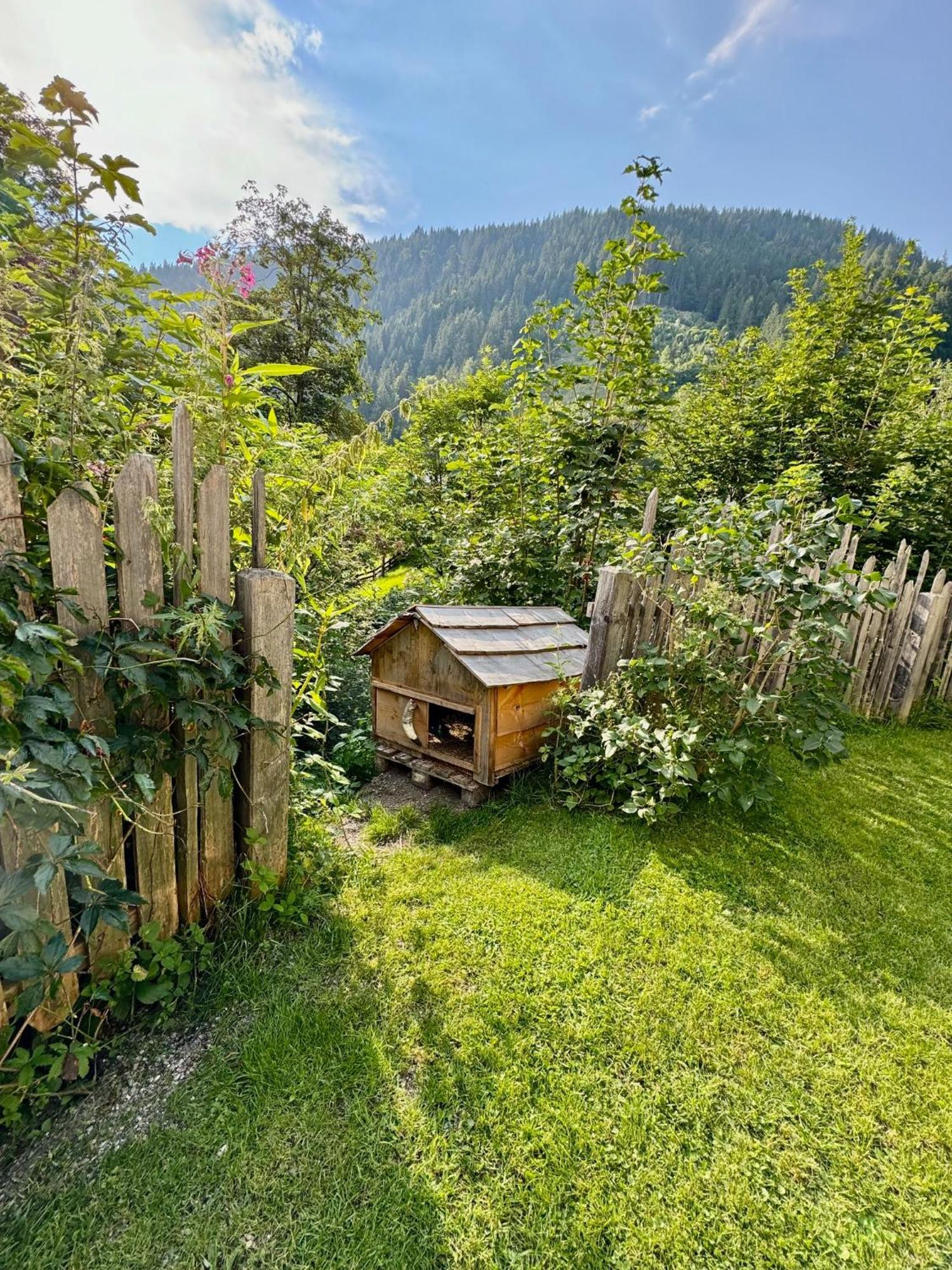 Appartement Haensel & Gretel Werfenweng Exterior foto